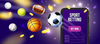 Discover the Journey vivi-betting.comabout-us