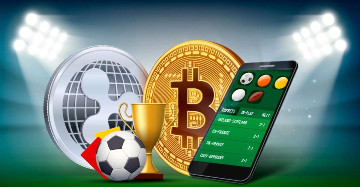 The Exciting World of Congo Bet 14