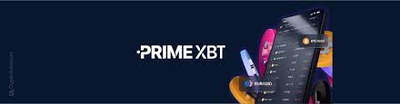 Discovering How Many PrimeXBT Users Are There
