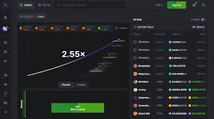 Exploring the Exciting World of BC Game Top Bets
