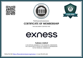 Ultimate Guide to Exness Forex Download Trade Efficiently Anytime, Anywhere