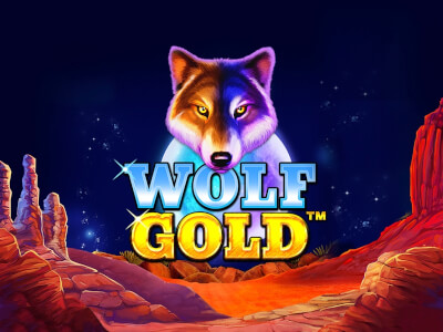 신비로운 세계로의 초대 Wolf Gold